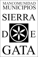 Imagen Acta Tribunal - Técnico Parque Cultural 30 Septiembre 2026